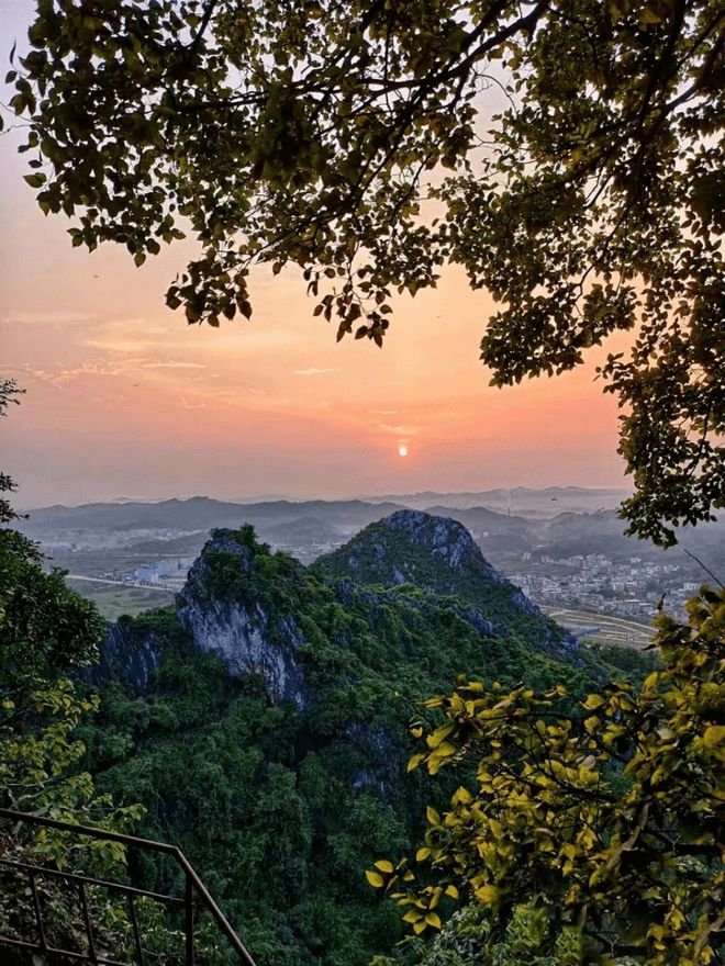 荔枝九游娱乐界的茅台在广西！你吃过吗？(图6)