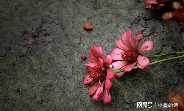 女儿养老儿九游娱乐子拿钱 偏心父母寒了谁的心