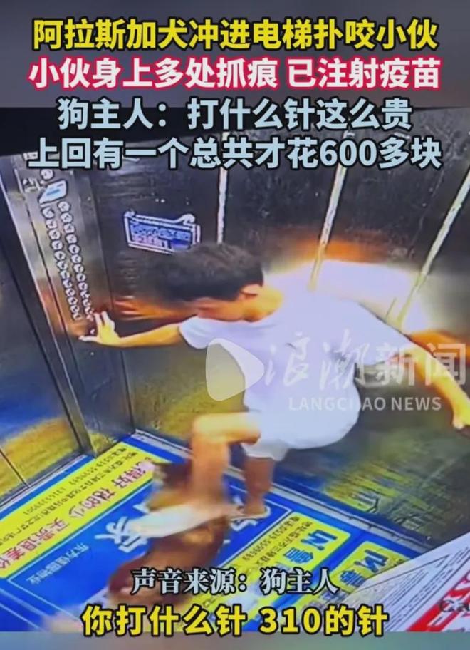 大狗电梯咬人九游娱乐狗主人嫌贵不赔钱:上次才花600这次一针就310?