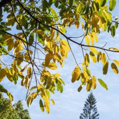 影视动漫配音好就业吗九游娱乐(图3)