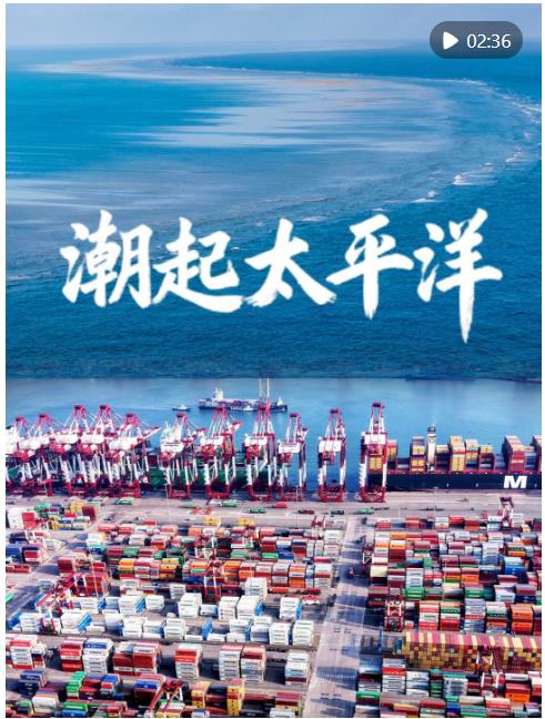 九游娱乐微视频|潮起太平洋