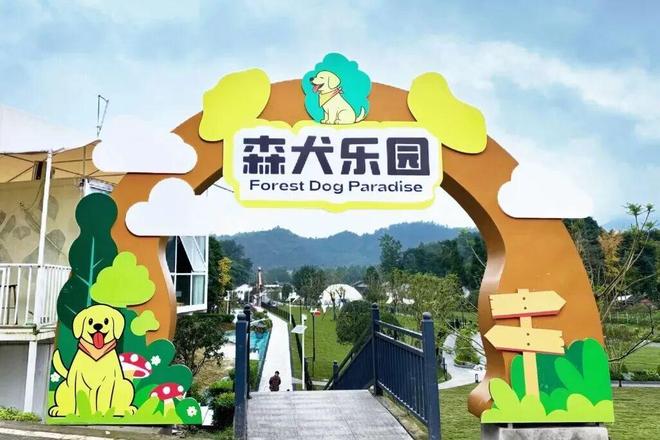 九游娱乐汪汪队集合!西岭宿集森犬乐园开营啦