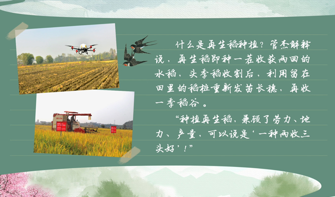 春耕时节 我们在行动_光明网九游娱乐(图2)