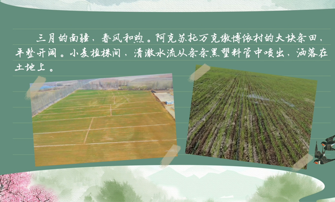 春耕时节 我们在行动_光明网九游娱乐(图6)