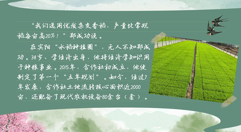 春耕时节 我们在行动_光明网九游娱乐(图12)