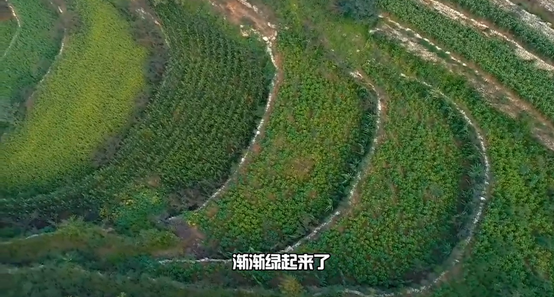 春耕时节 我们在行动_光明网九游娱乐(图37)