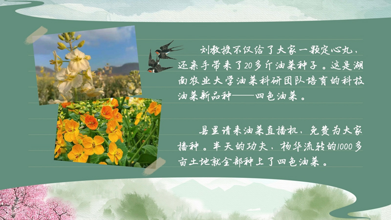 春耕时节 我们在行动_光明网九游娱乐(图42)