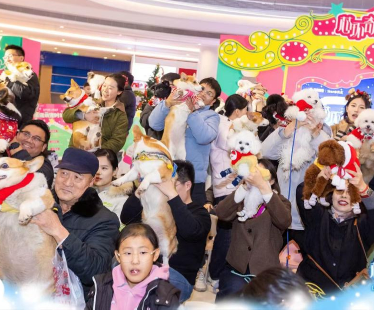 九游娱乐经济观潮｜“养娃式养宠”：让“它”吃好还要健康快乐(图1)