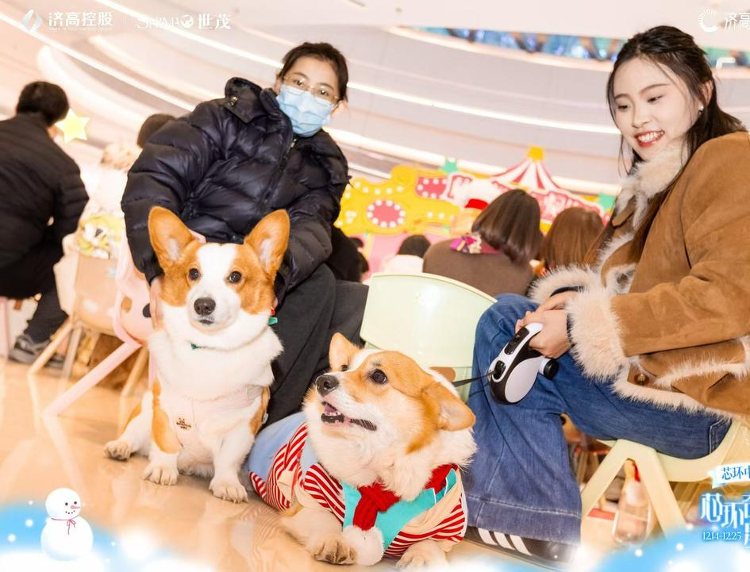 九游娱乐经济观潮｜“养娃式养宠”：让“它”吃好还要健康快乐(图5)