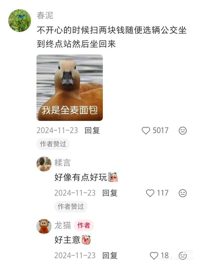 独处时可以做的高质量小事网友：比玩手机强太多了九游娱乐！(图2)