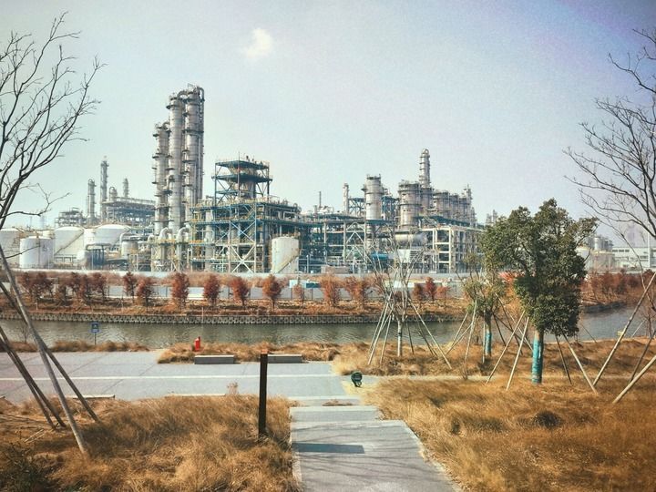 九游娱乐“电影之城”尽春晖——上海引领马年电影经济新风尚(图7)